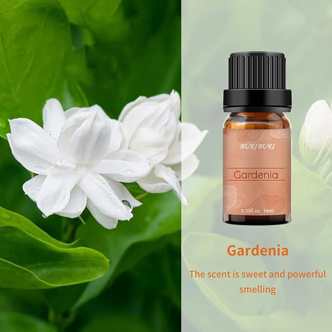 BURIBURI Gardenia Essential Oil, 100% Pure Gardenia Fragrance Oil, Fragrance Oil Essential Oils