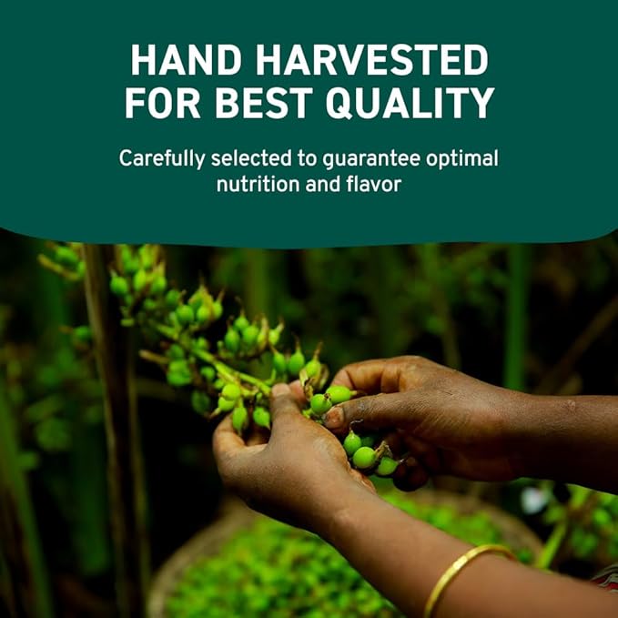 HANDPICK Green Cardamom Pods (57g / 2oz) Large size Green Elaichi | Pure, Non-GMO, Gluten Free |