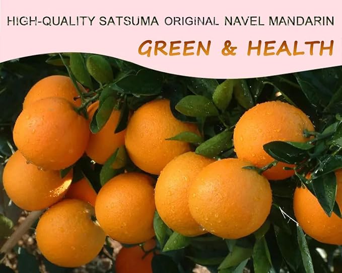 Dehydrated Orange Slices,10.58oz / 300g, Dried Orange Slices Sugar Free Natural Fruit for