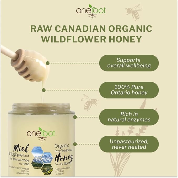 Oneroot 100% Organic Canadian Flower Honey - 17.6 Oz/1.1 Lbs, White Honey Wildflower Unfiltered