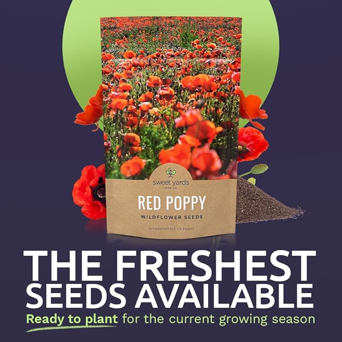 Red Poppy Seeds - Bulk 1/4 Pound Bag - Over 800,000 Wildflower Seeds