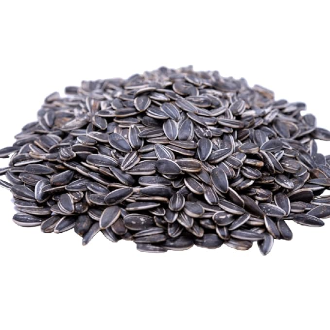 Lightly Sea Salted Sunflower Seed in Shell by Gerbs - 2 LBS - Top 11 Food Allergen Free & Non GMO