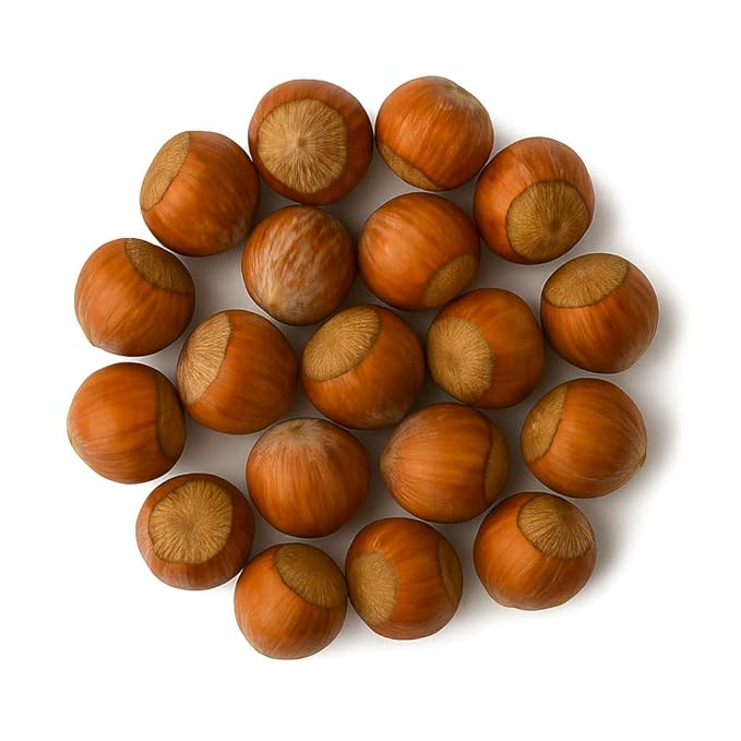 Crazy Nuts | Oregon Grown Large Raw Hazelnuts In Shell, 5lb | Whole Hazelnuts to Eat and for