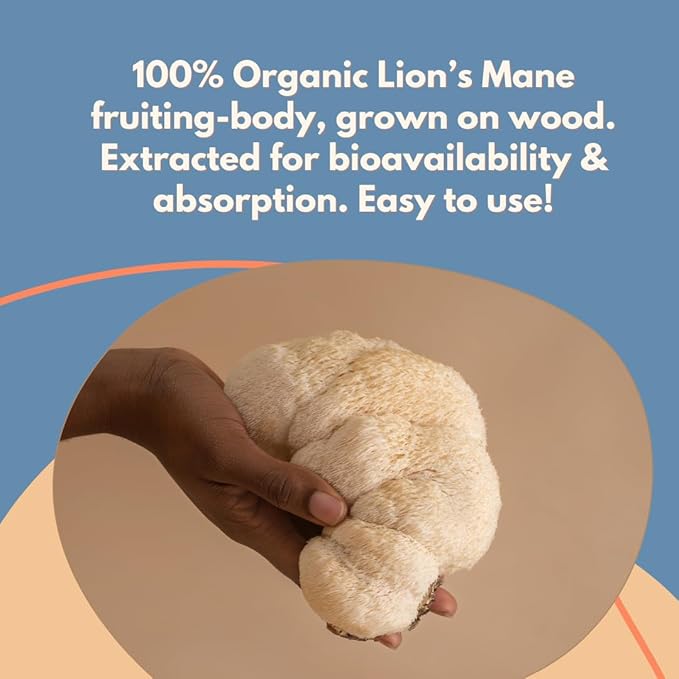 Malama Organic Mushroom Hot Cacao Mix, Lion's Mane Mushroom Powder with Fair Trade Cacao for Focus