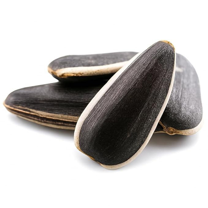 Crazy Nuts | USA Grown Raw Sunflower Seeds In Shell, 10lb | Unsalted sunflower seeds for birds and