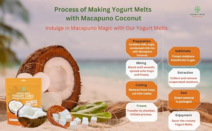 (Pack of 3) NOKKI FARM Freeze-dried Macapuno Coconut Yogurt Melts 50g | No Artificial Colors | No