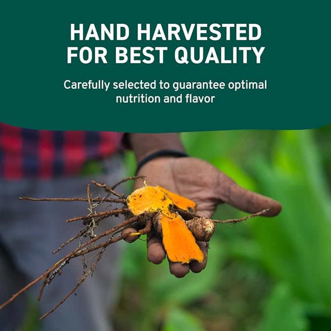 HANDPICK, Organic Turmeric Powder with Curcumin (397g/14oz) Gluten Free | Made from Turmeric Root |