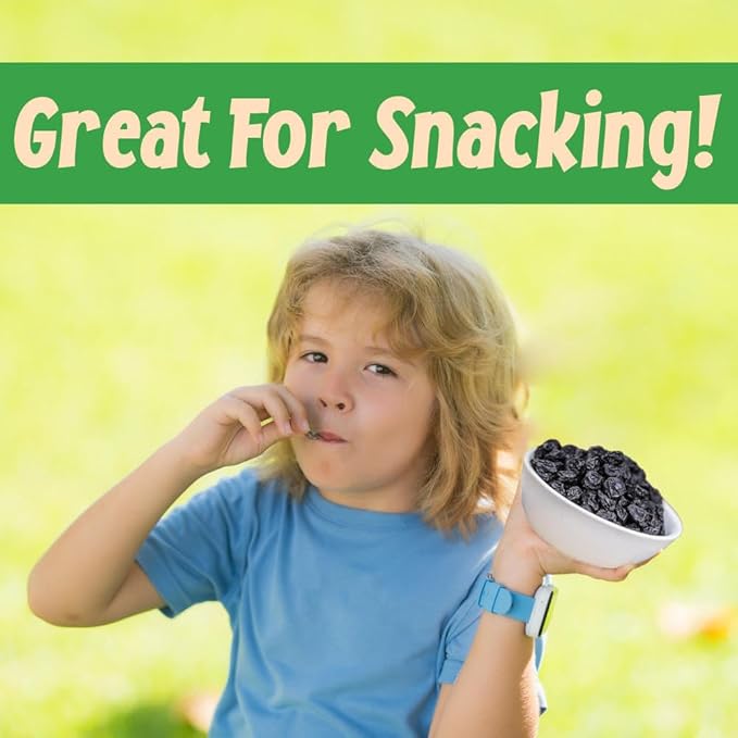 Sincerely Nuts Dried Blueberries (2 LB) Gluten-Free, Vegan & Kosher Snack - Fresh from USA - Bulk