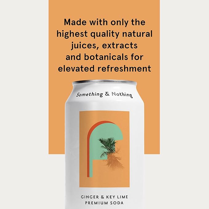 Something & Nothing Ginger & Lime Flavoured Sparkling Water | Lightly Carbonated, Full Flavoured