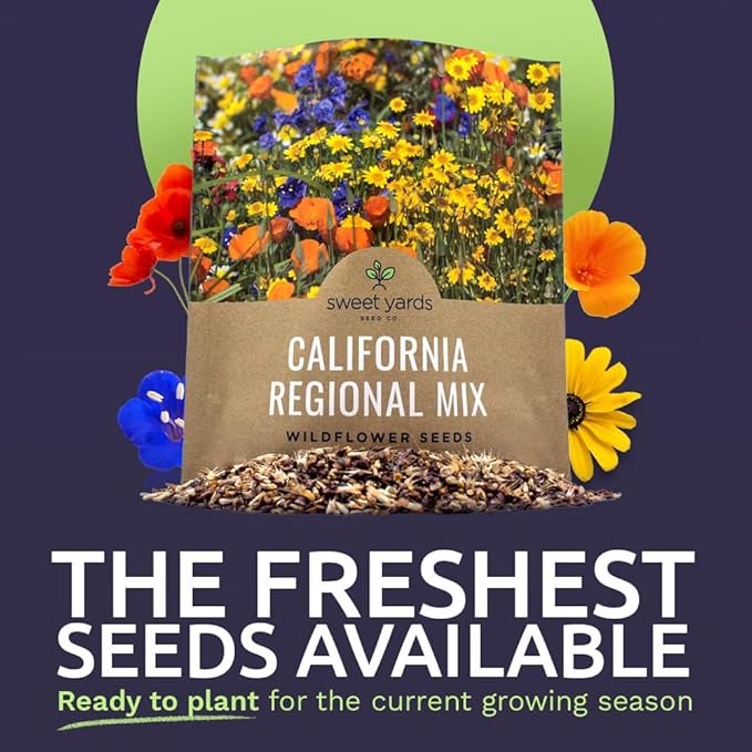California Wildflower Mixture - Bulk 1 Ounce Packet - Over 7,000 Native Seeds - Open Pollinated and
