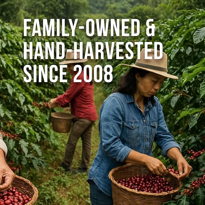 Don Memo Honduras Single-Origin Dark Roast Coffee Beans ??Low Acid, Shade-Grown Arabica (Whole