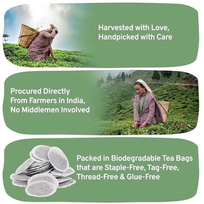 HANDPICK, Organic English Breakfast Black Tea Bags (100 Count) USDA Organic, Non-GMO | Strong