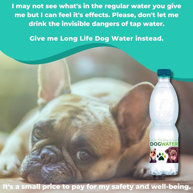Daily Spring Canine Water, pH-Balanced Water for Dogs, Helps with Electrolytes for Dogs & Improve