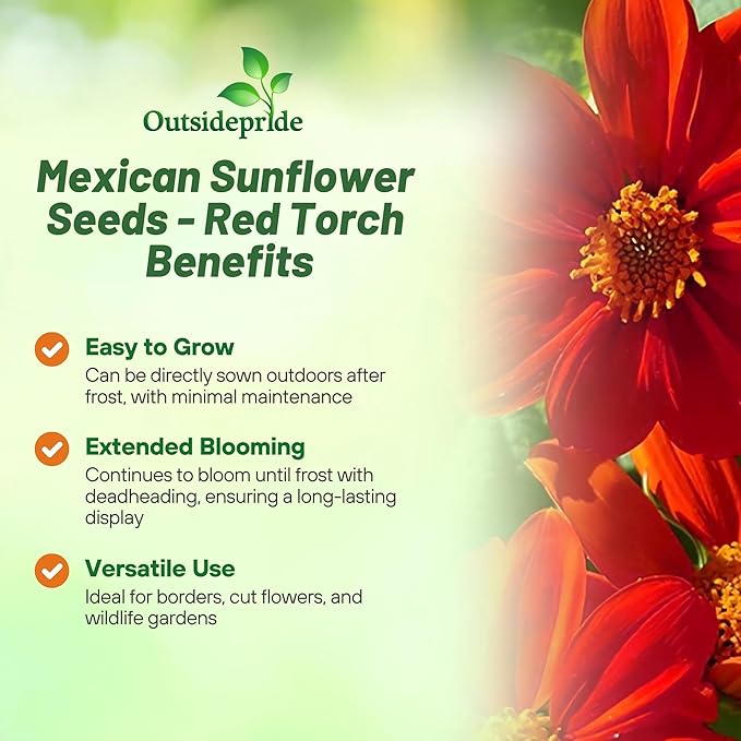Outsidepride Red Torch Mexican Sunflower Seeds - 2000 Seeds Annual Tithonia, Fast-Growing, Heat &