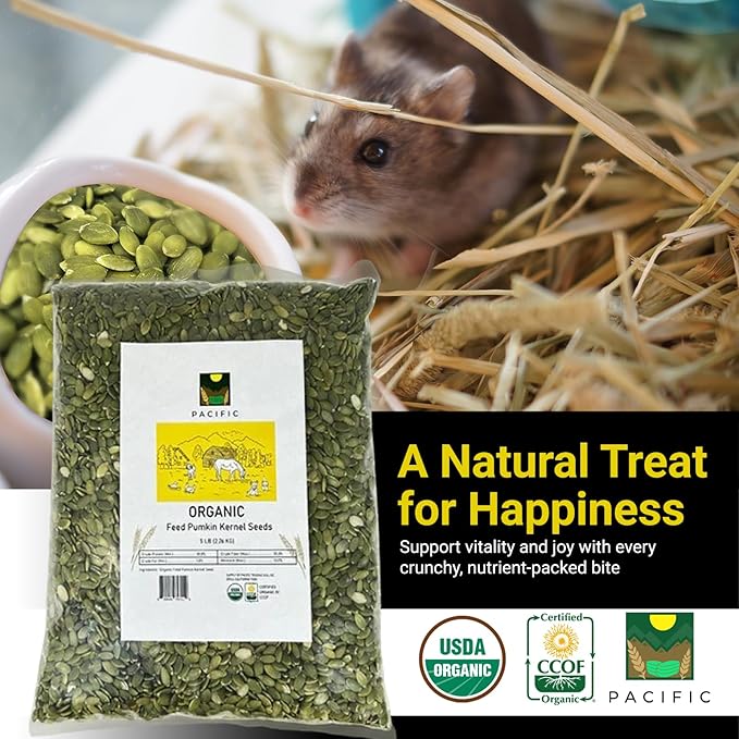 PACIFIC Organic Petfood Organic Feed Pumpkin Kernel Seeds - Organic Pumpkin Seeds for Dogs | Rich