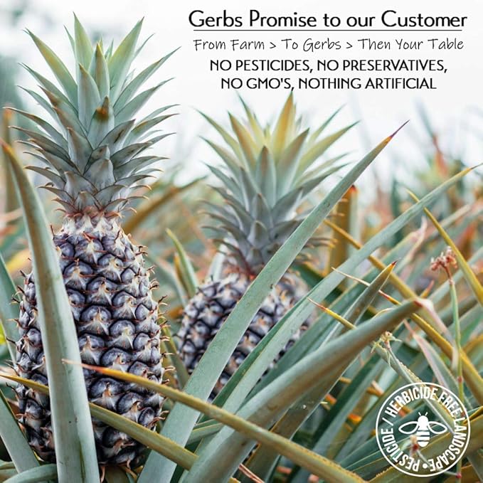 Gerbs Lightly Sweetened Dried Pineapple Cubes 4 lbs. | Unsulfured, No Additives, Resealable Bag |