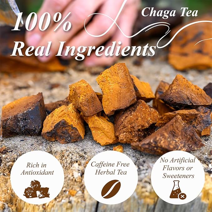 WT WEETEE Chaga Tea Bags 100 Count, 100% Siberian Birch Chaga Mushroom Tea, Caffeine-Free - Rich in