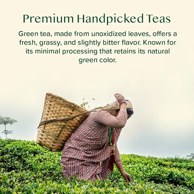 VAHDAM, Assorted Green Tea Loose Leaf Tea Gift Set (10 Flavors) Gift Ideas for Women & Men | Exotic