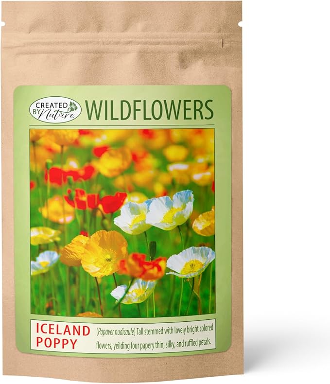 Iceland Poppy (Papaver Nudicaule) – 34,700 Non-GMO Seeds | Easy-to-Grow Pollinator-Friendly
