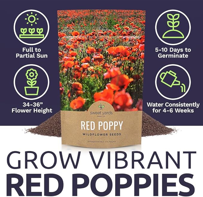 Red Poppy Seeds - Bulk 1/4 Pound Bag - Over 800,000 Wildflower Seeds