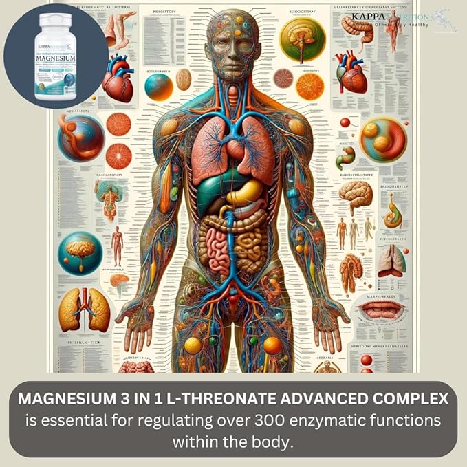 Kappa Nutrition Magbrain??Magnesium L-Threonate Plant-Based, 420mg Elemental Magnesium (3 Capsules)