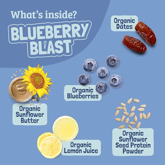 SKOUT Organic Blueberry Blast Real Kids Snack Bars (18 Pack) | Organic Kids Snack Bars |