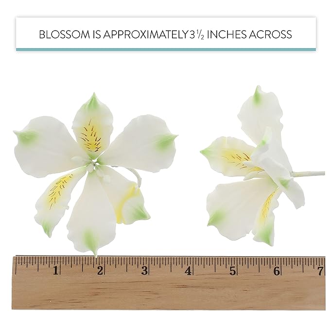 Global Sugar Art Alstroemeria Sugar Cake Flowers White with Green, 3 Count by Chef Alan Tetreault