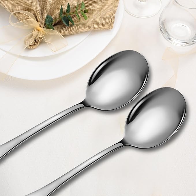 Stainless Steel Serving Spoons Set, 6pc, 10-Inch, Includes 6 Large Spoons, for