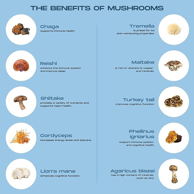 Mushroom Coffee Instant with 10 Mushrooms - 15 Single Packets with Reishi, Lion's Mane, Chaga