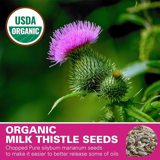 WT WEETEE Organic Milk Thistle Tea Bags, 100% Pure & Natural Roasted Milk Thistle Seeds