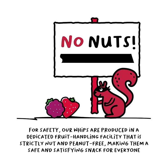 The FROOT Thief Real Fruit Snack Whips, Strawberry, Nut Free, Perfect for School Lunches and