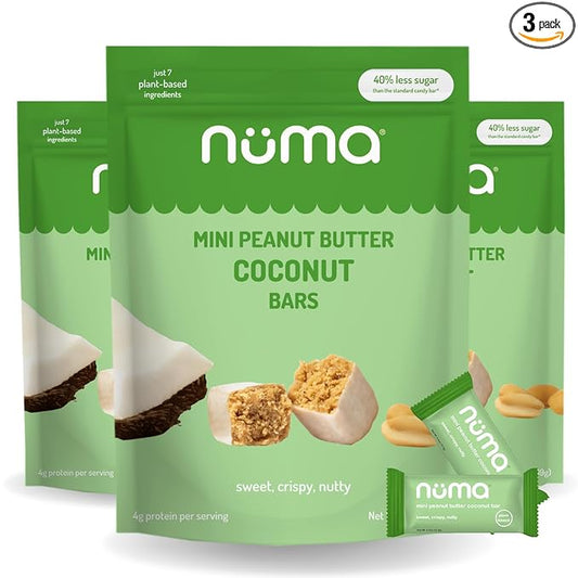 Numa Foods Mini Coconut Peanut Butter Bars – Vegan, Low Sugar, High Protein, All Natural, Gluten