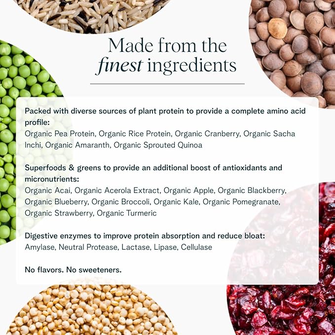 Ora Organic Vegan Protein Powder - 23g Plant Based Pea Protein + Superfood for Women and Men
