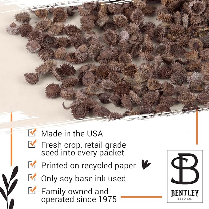 Bentley Thank You Packet - Sunflower Seeds - Pack of 25 - Perfect Eco-Friendly Thank You Gift - Non