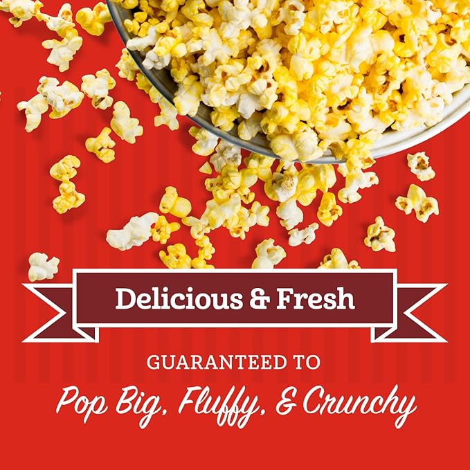 Franklin?셲 Gourmet Popcorn All-In-One Popcorn Packs for Popcorn Machine - 8oz Pack of 10 - Made in