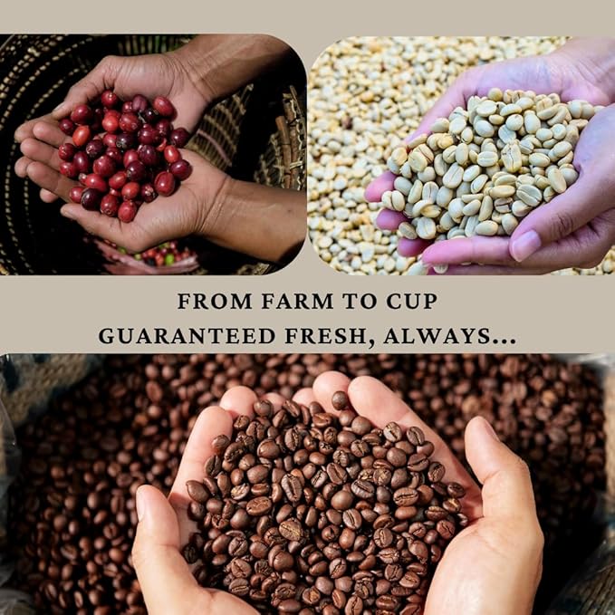 SipHaven | Sipper's Whisper Espresso Blend - Medium Roast Whole Bean Coffee | 1lb (16oz) | Bold