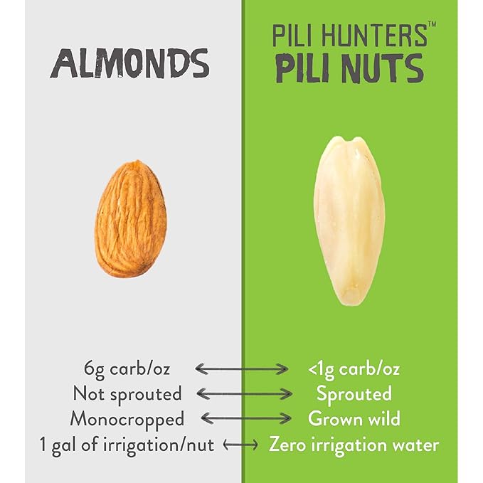 Pili Hunters - Wild Sprouted Pili Nuts, Pink Himalayan Salt, 5oz Bag, Keto/Paleo/Vegan Snacks, Low