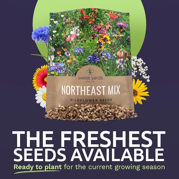 Northeast Wildflower Seeds - Extra Large 1 Ounce Packet - Over 7,500 Native Seeds - Open Pollinated