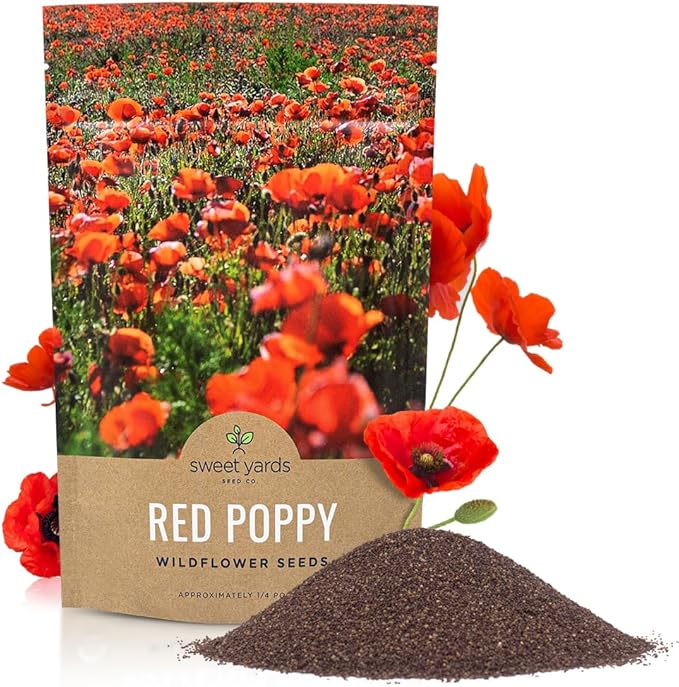 Red Poppy Seeds - Bulk 1/4 Pound Bag - Over 800,000 Wildflower Seeds