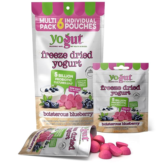 YoGut Freeze Dried Yogurt Snack, Blueberry, 6 Pack, Healthy Snacks for Kids, Toddlers & Adults