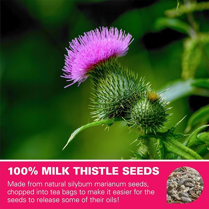 WT WEETEE Milk Thistle Tea Bags, Made with 100% Pure Milk Thistle Seeds, Natural Caffeine-free