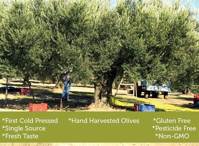 Cold Pressed Virgin Olive Oil 1 L - 33.81 Fluid Ounce, Antique Ephesus, Mediterranean Region of