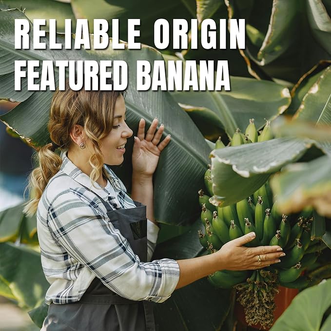 Ternio Premium Freeze Dried Bananas - 7.76 oz / 220 g - 100% Natural, No Preservatives, Low Calorie
