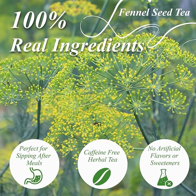 WT WEETEE Fennel Tea Bags 100 Count, 100% Natural & Pure Fennel Seeds Tea, Smooth & Sweet, No