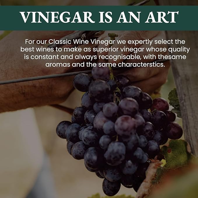 1787 PONTI Organic 100% Italian Red Wine Vinegar - Balanced Acidity and Harmonious Bouquets