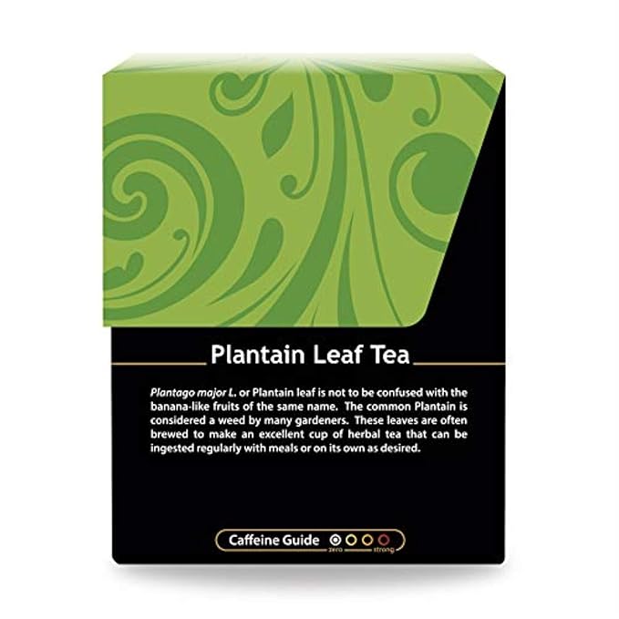 Buddha Teas - Plantain Leaf Tea - Herbal Tea - Promotes Digestive & Respiratory Health - Clean