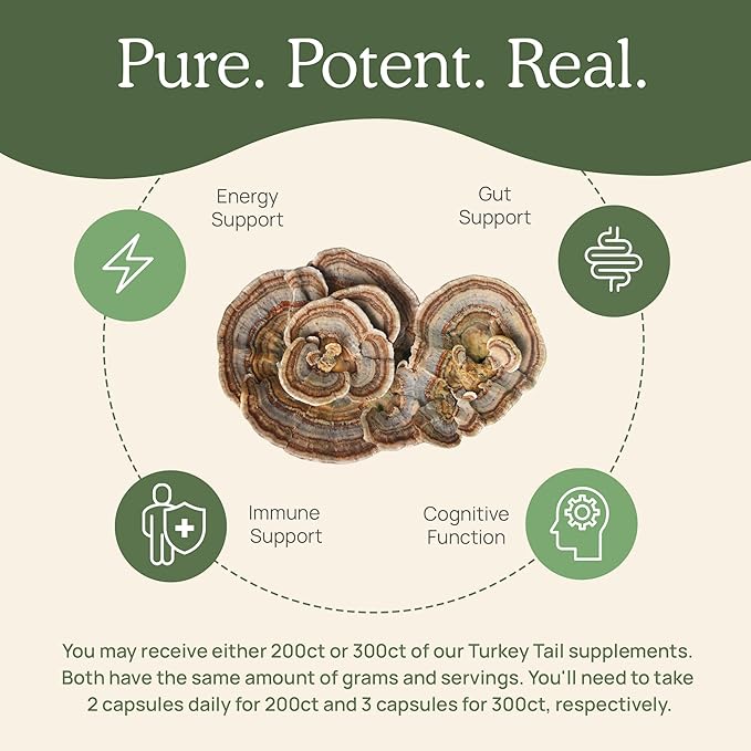 Real Mushrooms Turkey Tail Capsules ??Organic Mushroom Extract for Daily Wellness, Gut Harmony