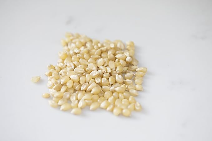 Amish Country Popcorn | 1 lbs Bag | Medium White Popcorn Kernels | Old Fashioned, Non-GMO and