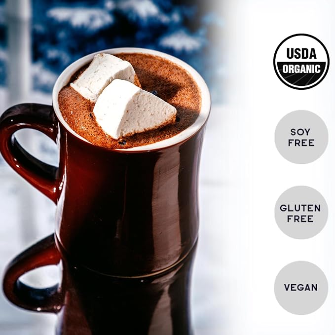 Raaka Double Dark Hot Chocolate Mix - Vegan, Organic, Gluten and Dairy Free - Lightly Sweetened
