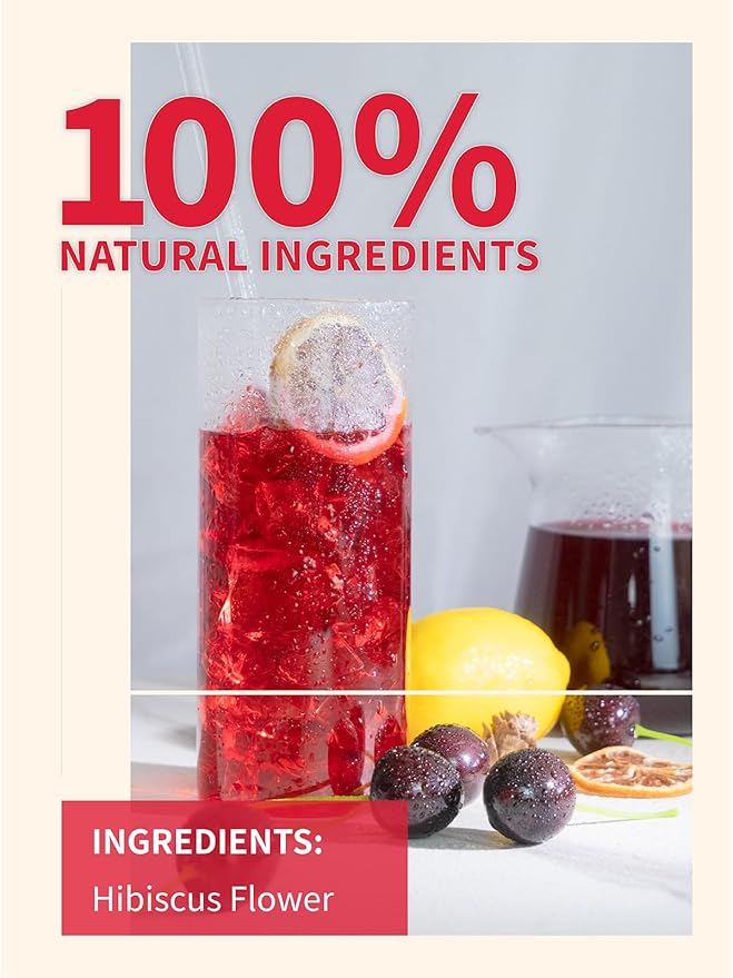 TeeLux Hibiscus Iced Tea, Family Sized Hibiscus Tea Bags, Natural Hibiscus Flowers Herbal Tea